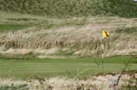 Borth Golf COurse