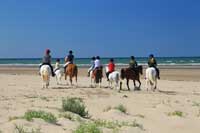 Horse-riding in Borth